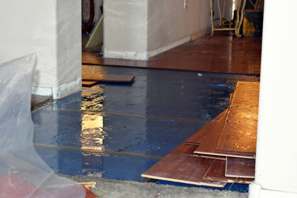 Professional Burst Pipe Cleanup technician working in Greenville, RI